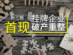 国内最大一起企业破产重整案的台前幕后