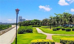 深圳推行强制休假制度 将于明年1月1日正式实施