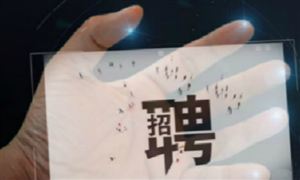 网络招聘服务管理规定明年3月实施 不得含有性别歧视性内容