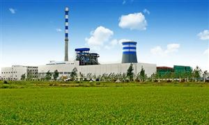 生物质发电发展历程介绍 受国家鼓励电厂数量逐年上升