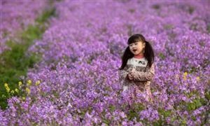 多地清明小长假迎来赏花季 2021发展花卉旅游产业正当时